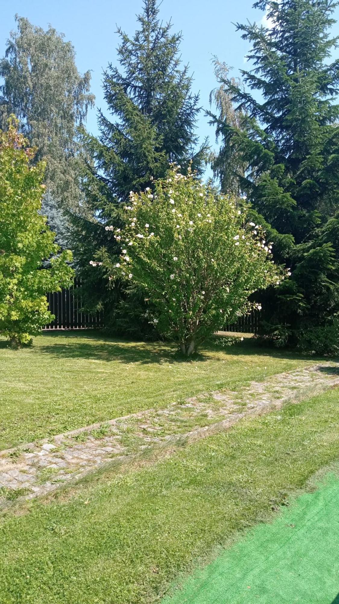 Chata Lazne Evzenie Klášterec nad Ohří Exteriör bild